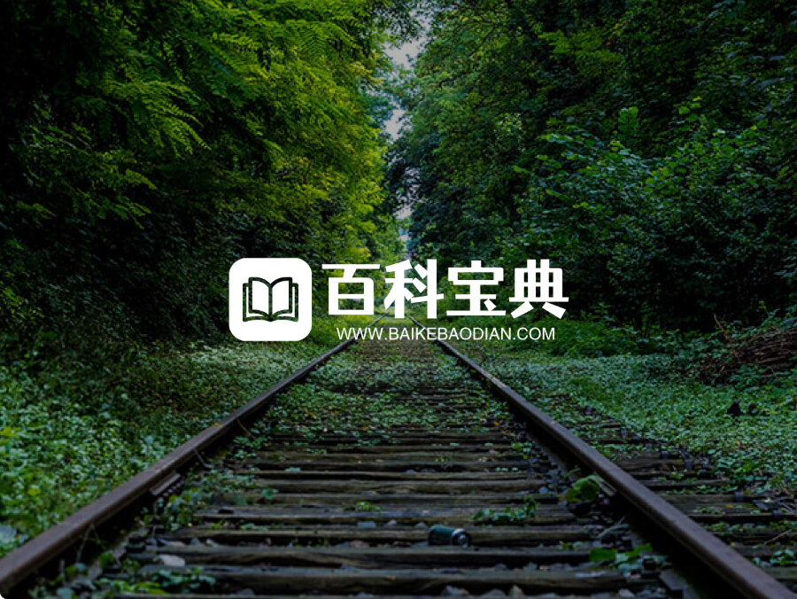 百科宝典