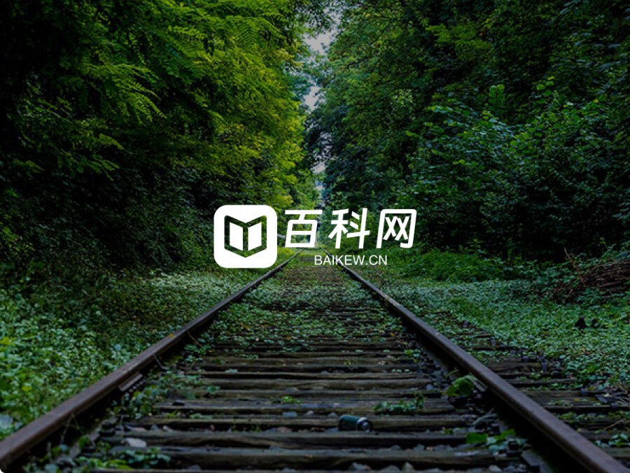 百科网